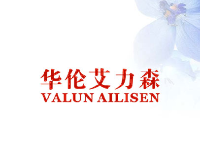 华伦艾力森 VALUN AILISEN