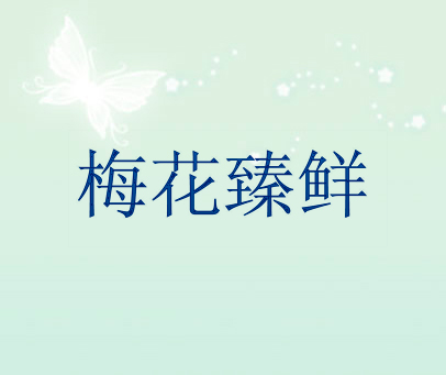 梅花臻鲜