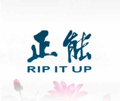 正能 RIP IT UP