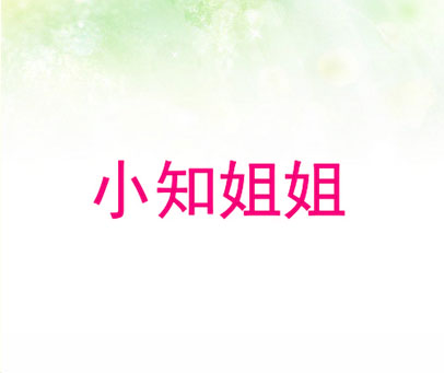 小知姐姐