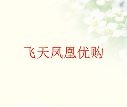 飞天凤凰优购