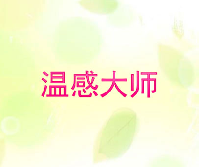 温感大师