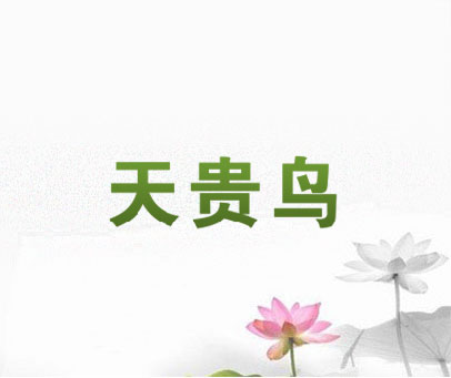 天贵鸟