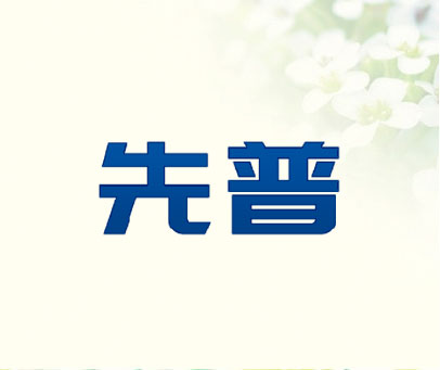 先普