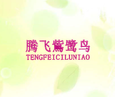 腾飞鴜鹭鸟
