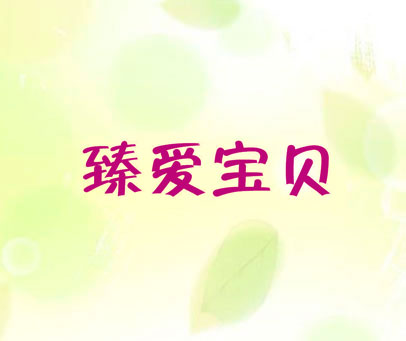 臻爱宝贝