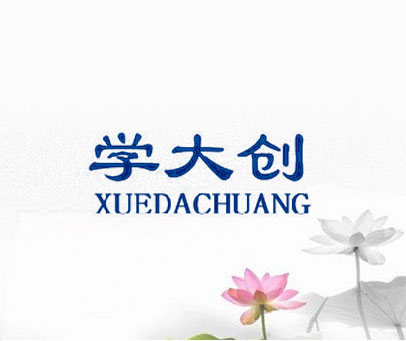 学大创