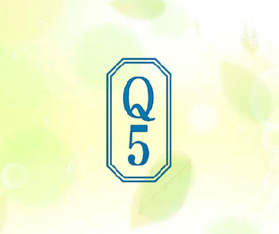 Q5