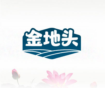金地头