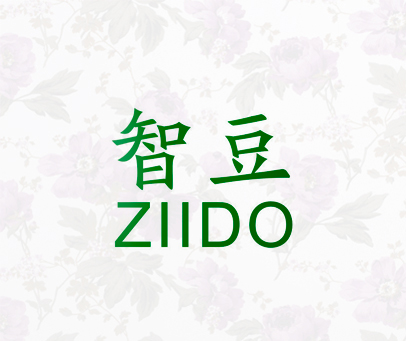 智豆 ZIIDO