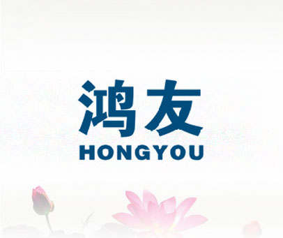 鸿友