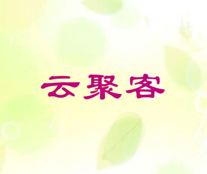 云聚客