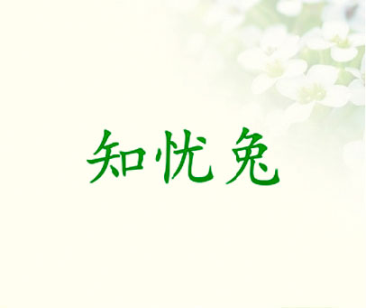 知忧兔