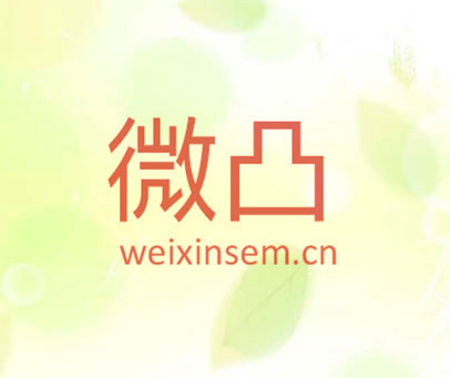 微凸 WEIXINSEM.CN
