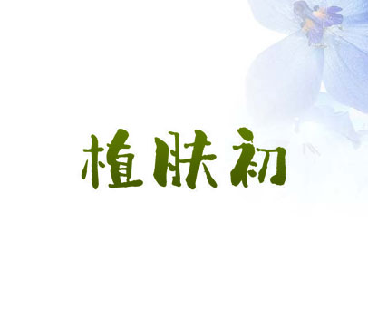 植肤初