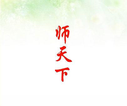 师天下