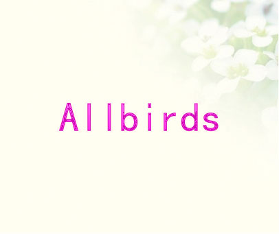 ALLBIRDS