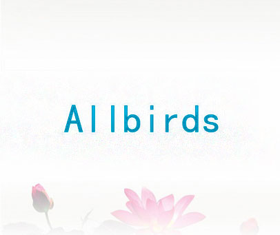 ALLBIRDS