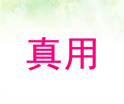 真用
