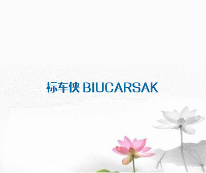 标车侠  BIUCARSAK