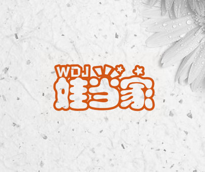 娃当家 WDJ