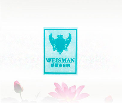 威斯曼音响 WEISMAN