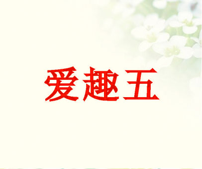 爱趣五