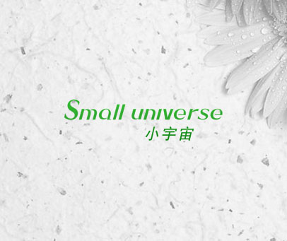 小宇宙 SMALL UNIVERSE