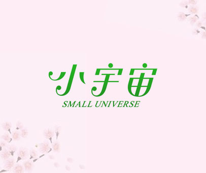小宇宙 SMALL UNIVERSE