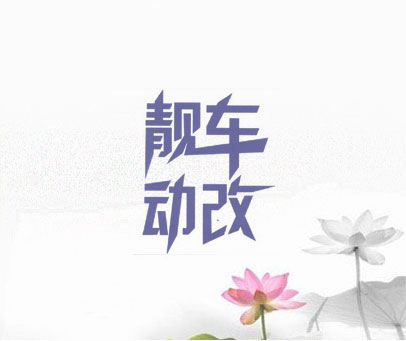 靓车动改