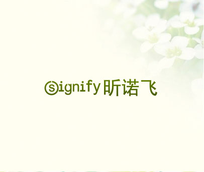 昕诺飞 SIGNIFY