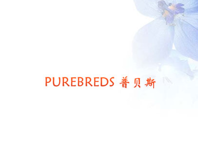 普贝斯  PUREBREDS