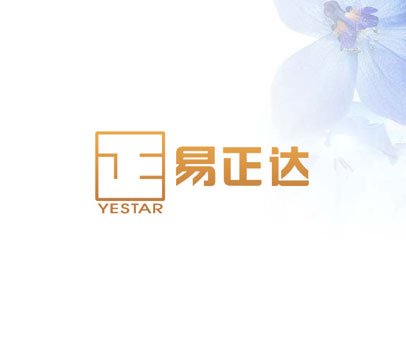 易正达 正 YESTAR