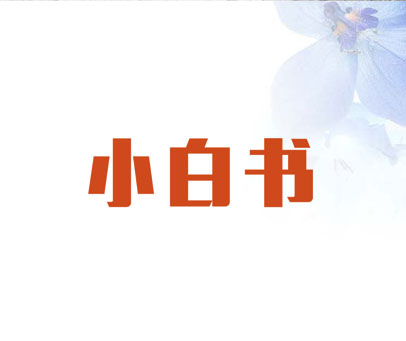 小白书