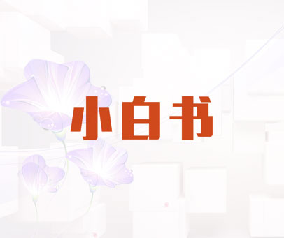 小白书