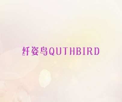 纤姿鸟 QUTHBIRD