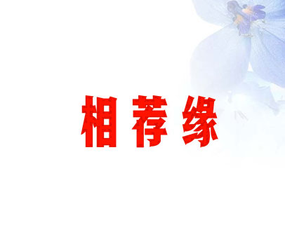 相荐缘