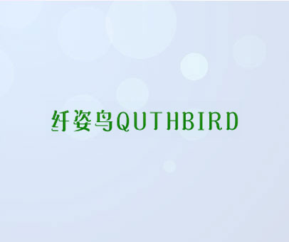 纤姿鸟 QUTHBIRD