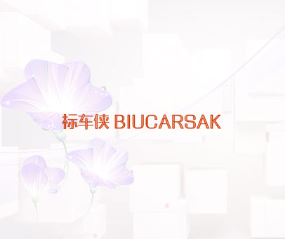标车侠 BIUCARSAK