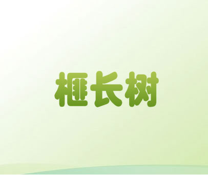榧长树