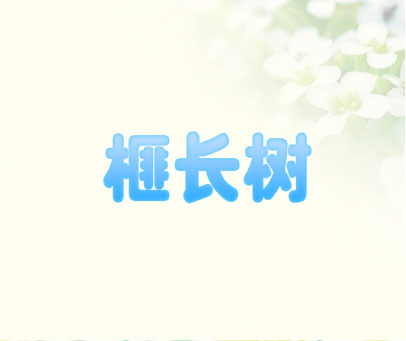 榧长树