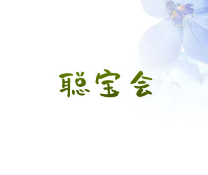 聪宝会