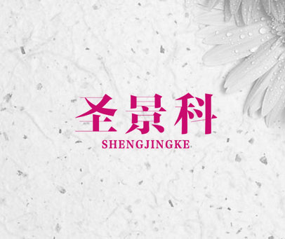 圣景科