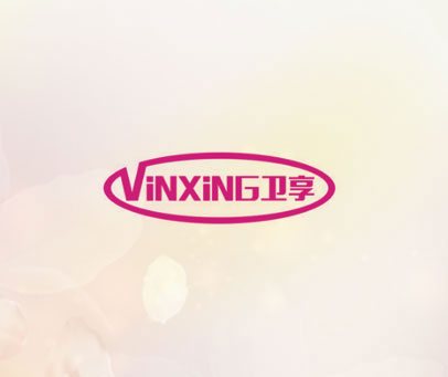 VINXING 卫享