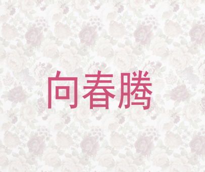 向春腾