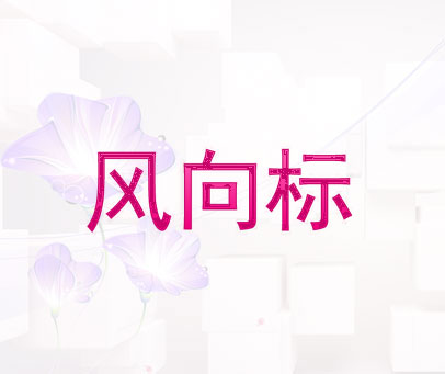 风向标