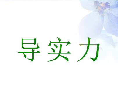 导实力