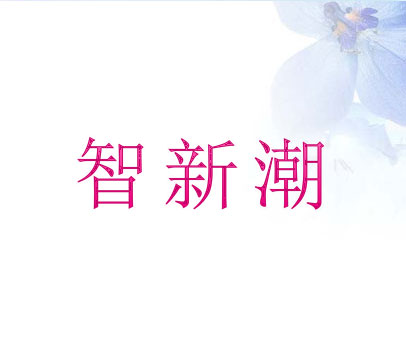 智新潮