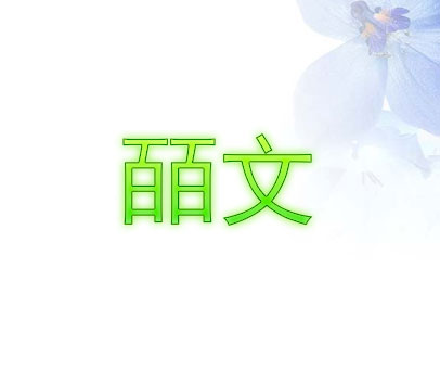 皕文