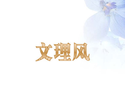 文理风